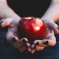person holding out red apple in hands