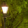 Street lamp with trees in the background.