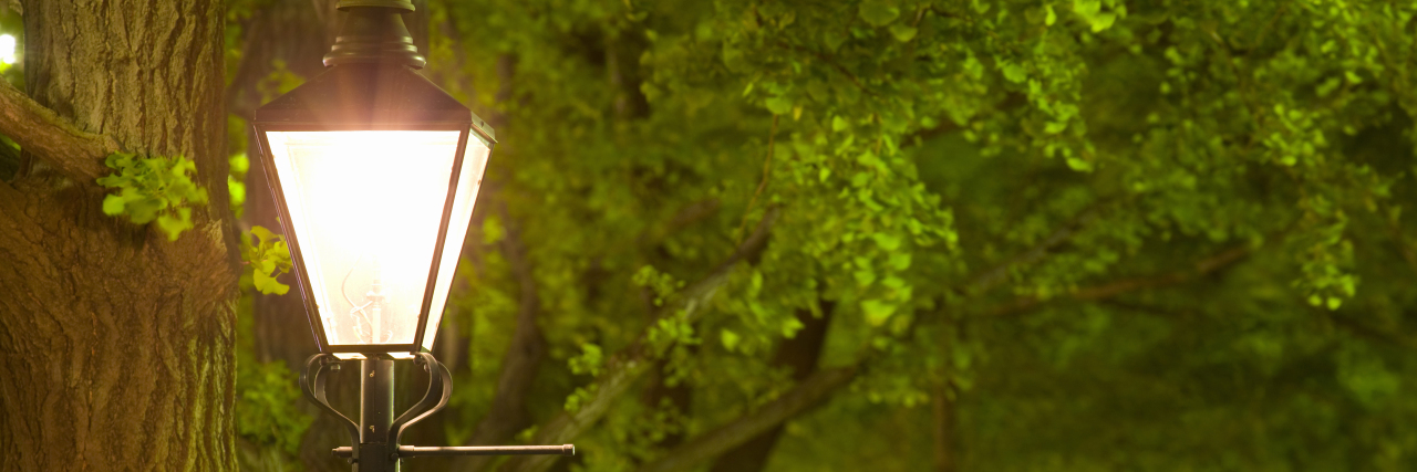 Dissociation and PTSD With Autism A street lamp glows against a background of trees, offering a guiding light.