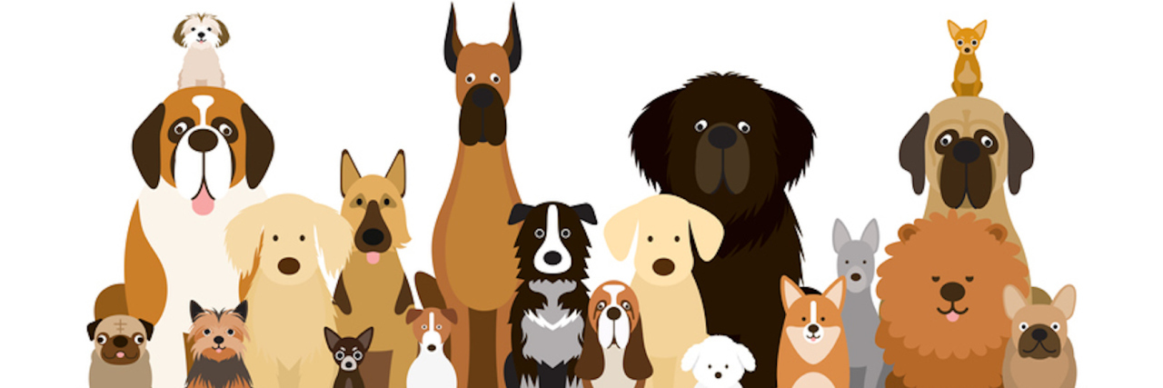 Group of Dog Breeds Illustration