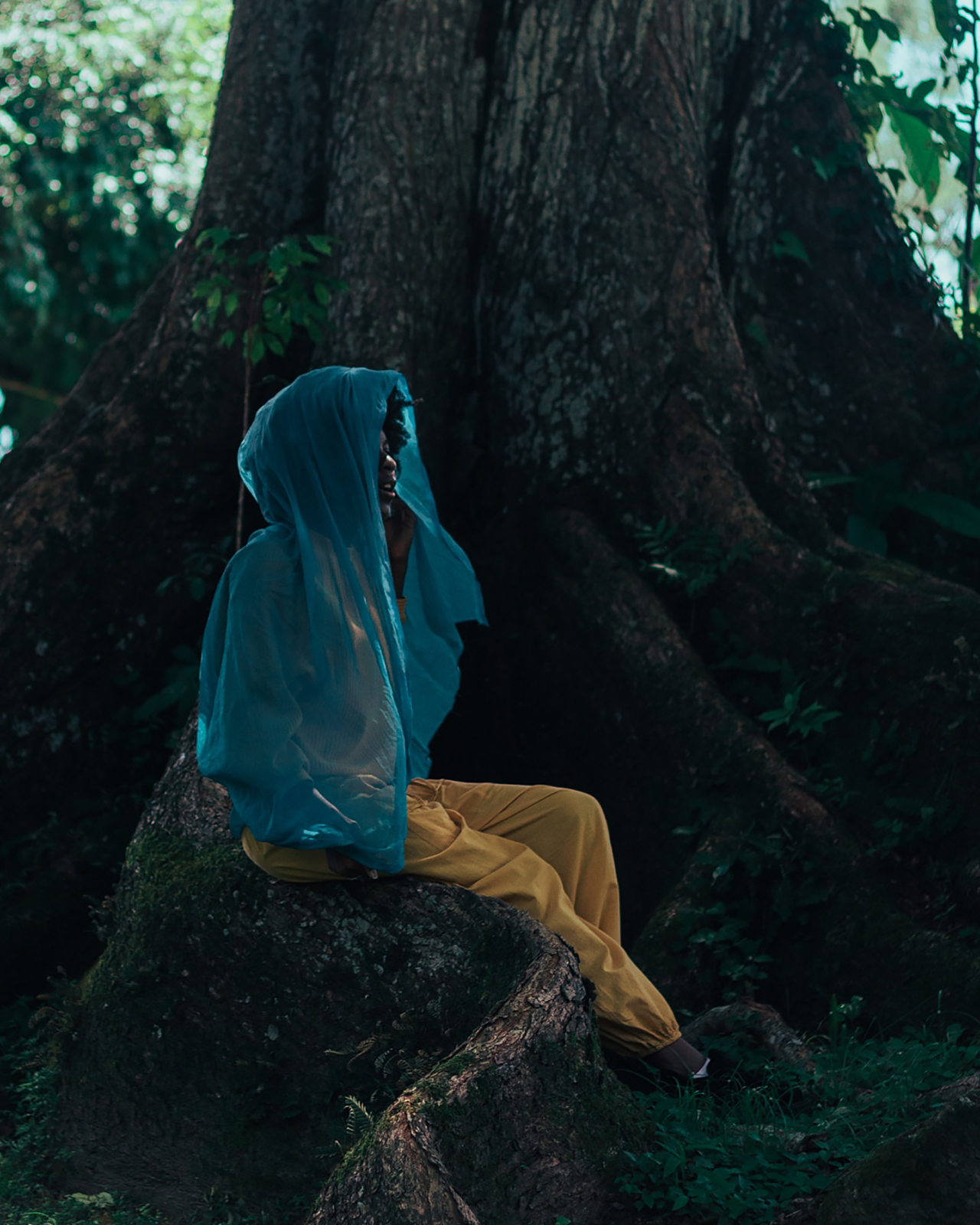 photo of woman, the contributor, sitting on tree stup with blue scarf around face and head