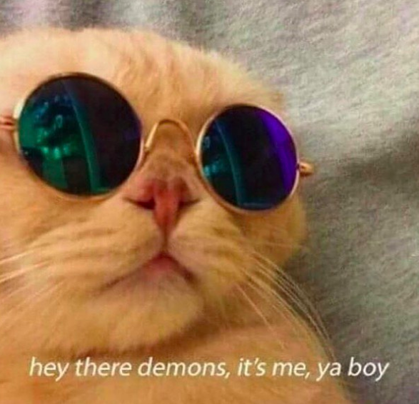 Meme: picture of cat in sunglasses. Text: hey there demons, it's me ya boy