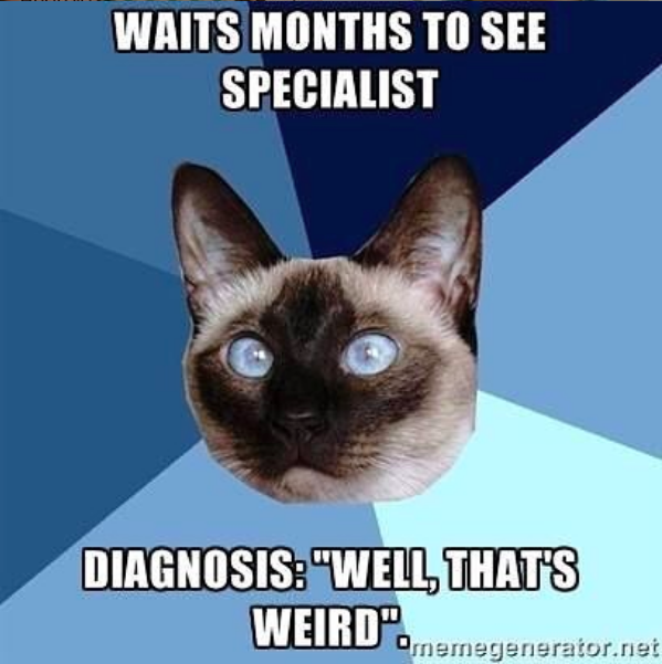 waits months to see specialist. diagnosis: "well that's weird."