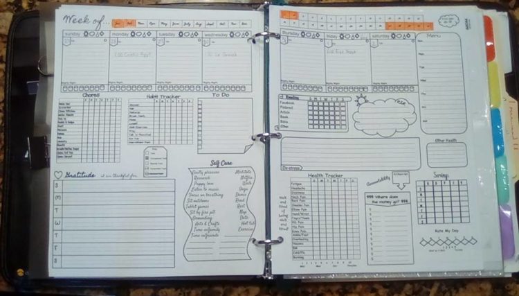 a woman's bullet journal