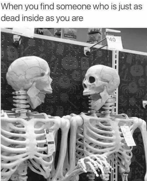 Meme image: two skeletons smiling at each other. Meme text: When you find someone who is just as dead inside as you are