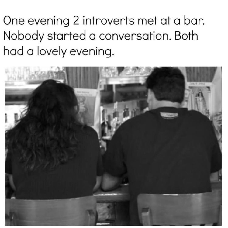 one evening 2 introverts met at a bar. Nobody started a conversation, Both had a lovely evening