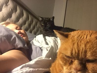woman lying in bed with a black cat and an orange cat on top of her