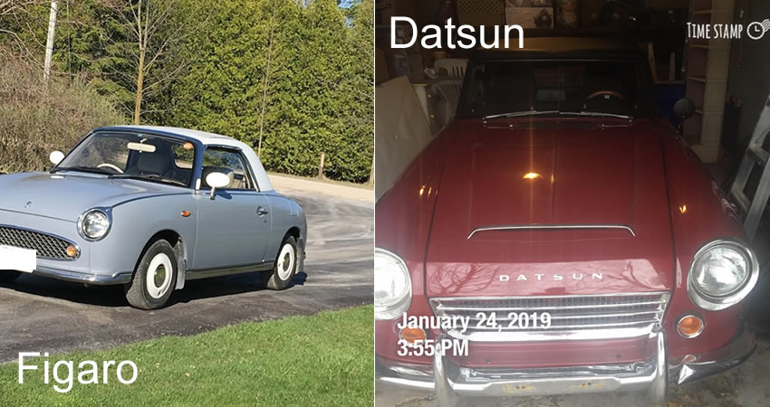 the contributor's figaro and datsun cars