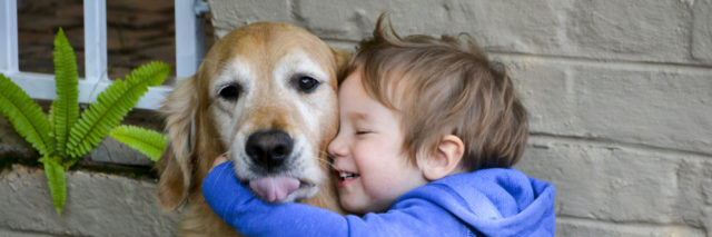 Little boy hugging and showing affection and love for his best friend, a cuddly golden retriever.