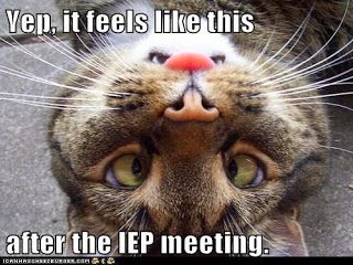 It feels like this after the IEP meeting
