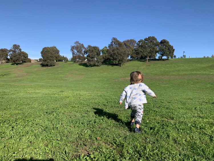 the author's child walking in a field