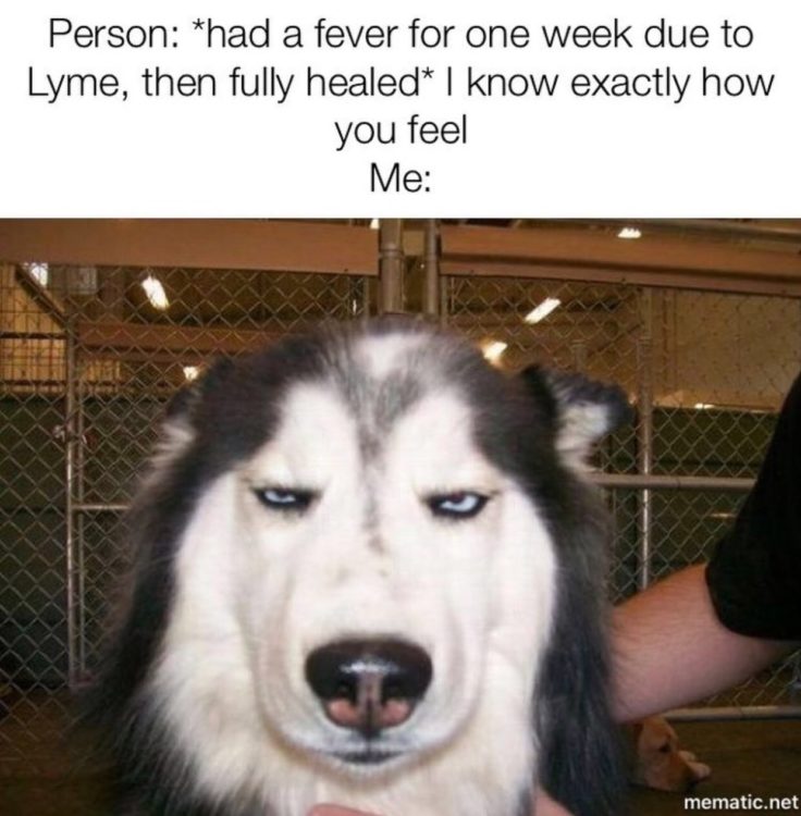 Husky with words "Personn: had a fever for one week due to lyme then fully healed" i know exactly how you feel