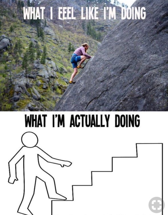 man climbing a mountain vs a man climbing the steps expectation vs. reality
