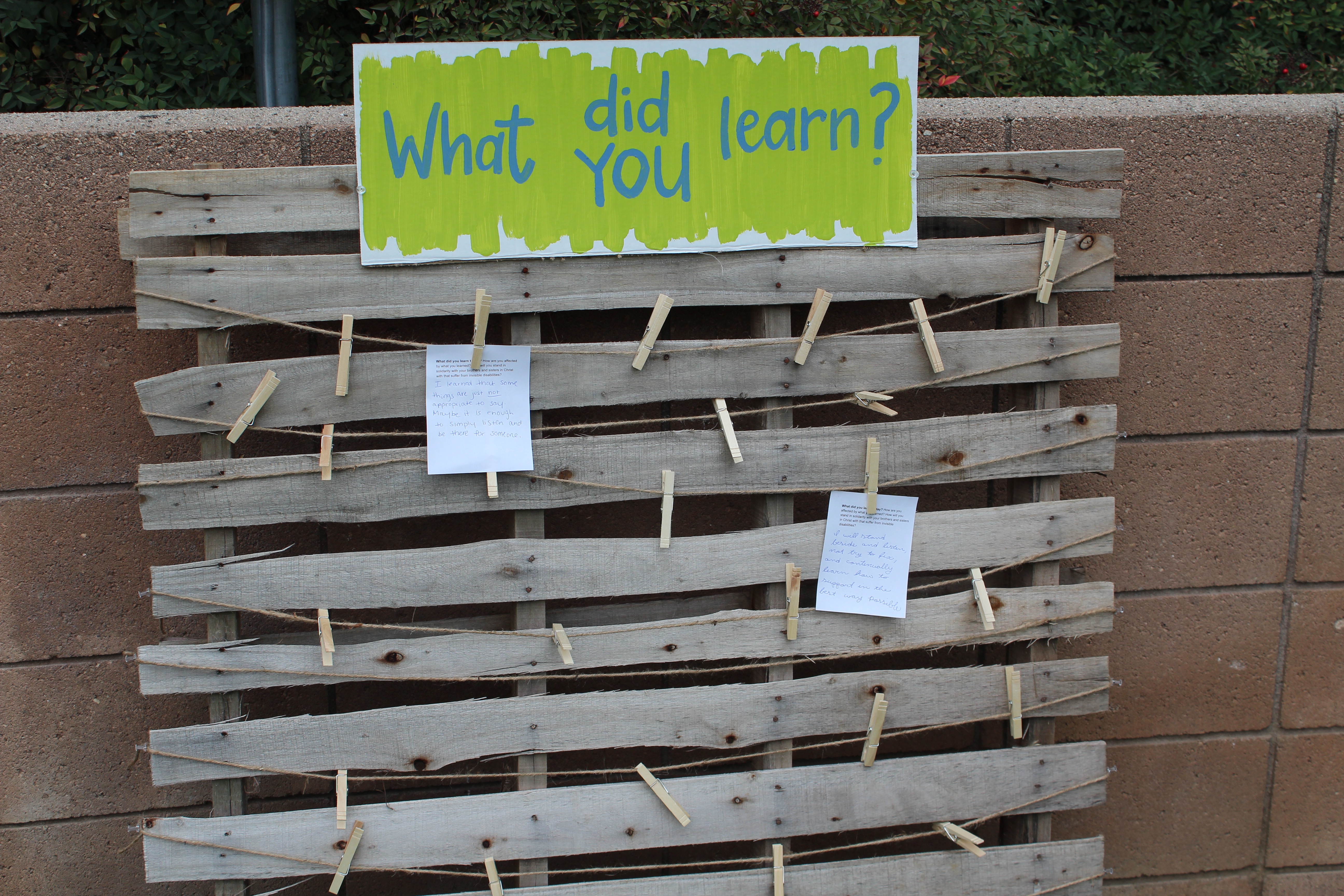 Board for visitors to pin answers to the question "What did you learn?"
