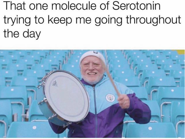 meme text: that one molecule of serotonin trying to keep me going through the day meme image: old man banging drum