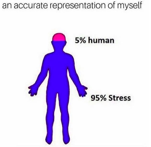 an accurate representation of myself: 5 % human 95% stress