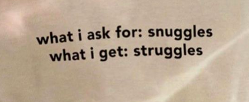 meme text: what I ask for- snuggles. what I get- struggles.