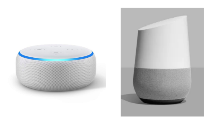 echo dot and google home