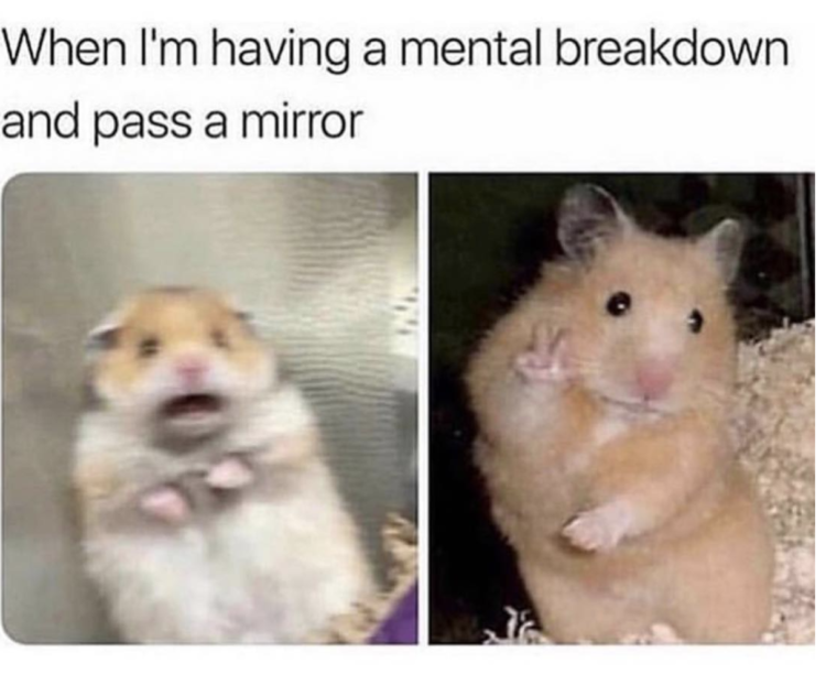 Text reads: When I'm having a mental breakdown and pass a mirror. One photo is of a hamster, looking very scared. The other is of a hamster smiling and flashing a peace sign.