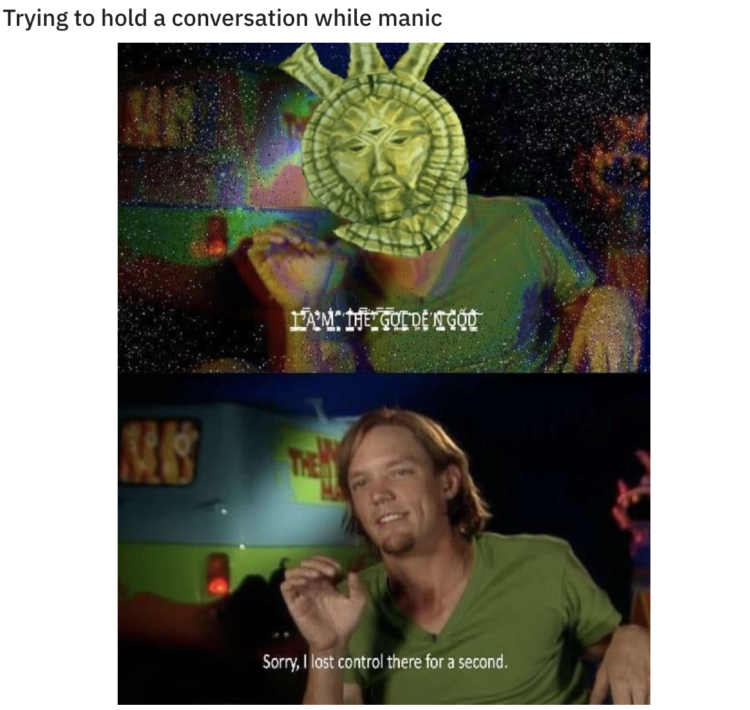 Text above the photo reads: Trying to hold a conversation while manic. The photo is two screenshots. One is a distorted image of a man saying "I am the golden god," the other not distorted, and features the same man smiling and saying "Sorry, I lost control there for a second."