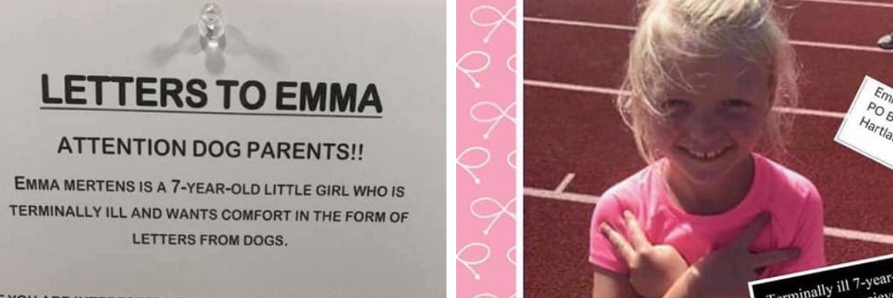 Girl With Brain Tumor Asks People to Send Letters From Their Dogs emma mertens dog request