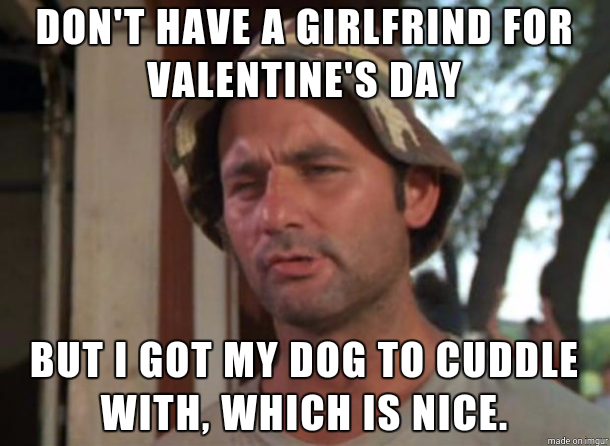 meme text: Don't have a girlfriend for valentine's day, but I got my dog to cuddle with, which is nice.