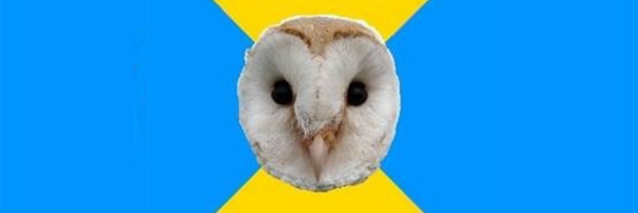 How 'Bipolar Owl' Memes Help Me