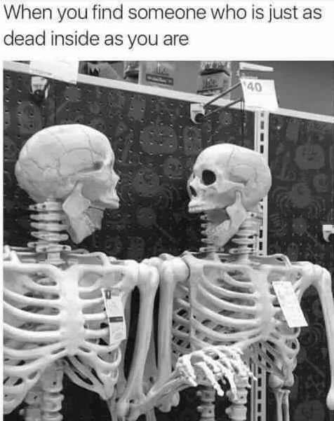 meme image: two skeletons smiling at each other. meme text: when you find someone just as dead inside as you are.