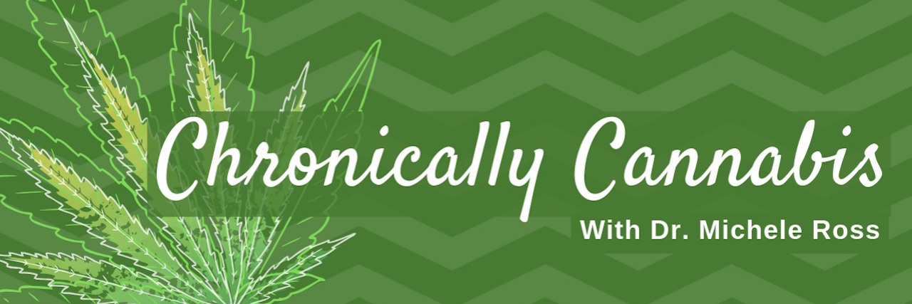 Chronically Cannabis: Can You Become Desensitized to Cannabis? chronically cannabis