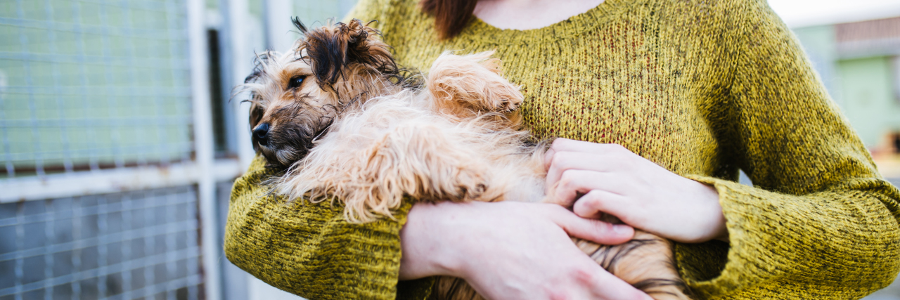 Volunteering At the SPCA as Someone on the Autism Spectrum Woman holding dog in animal shelter.