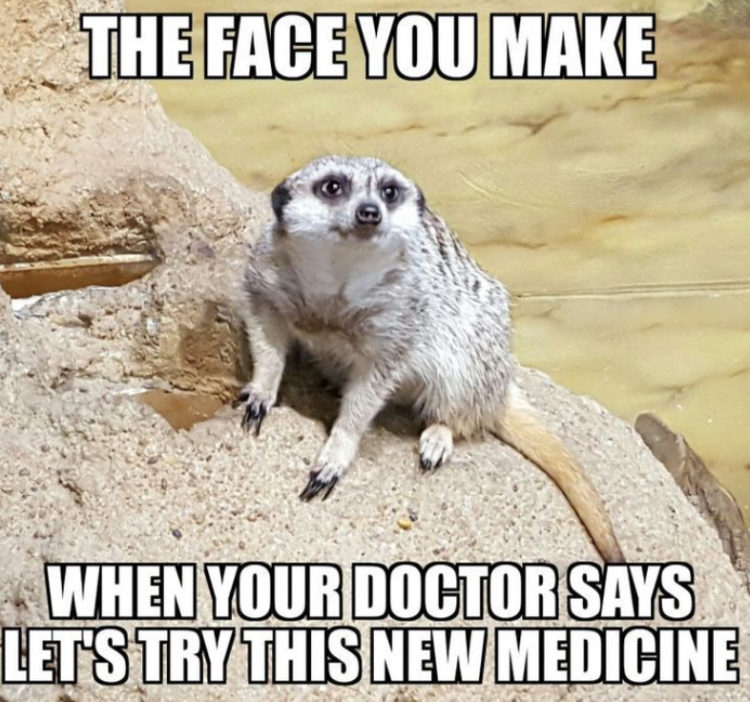 scared animal with words "the face you make when your doctor says "let's try this new medicine"