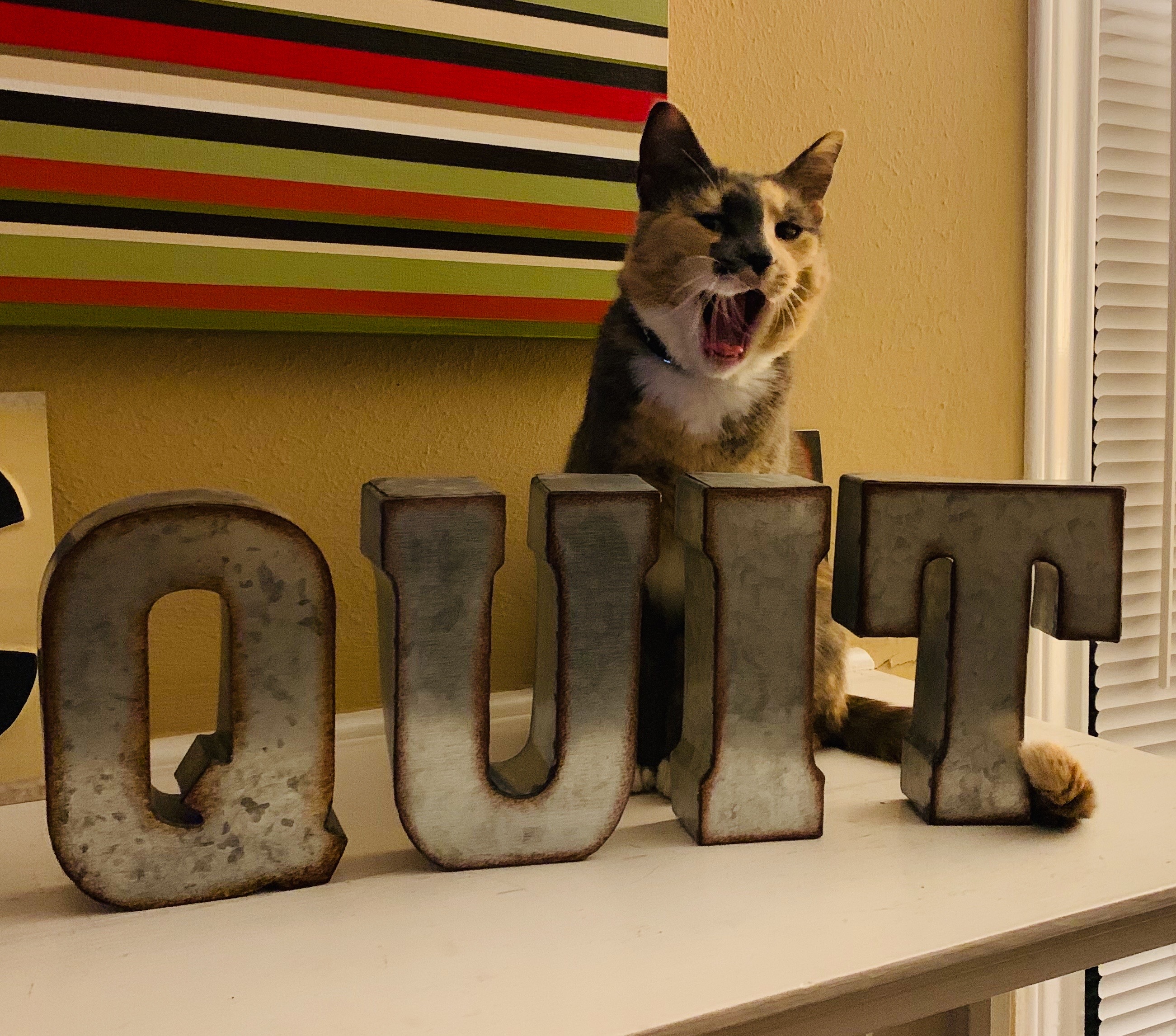 Letters on shelf spelling "Quit" with a yawning cat in the background.