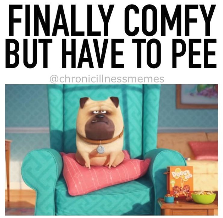 secret life of pets dog on chair needs to pee