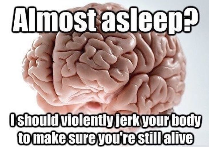pink human brain sleep