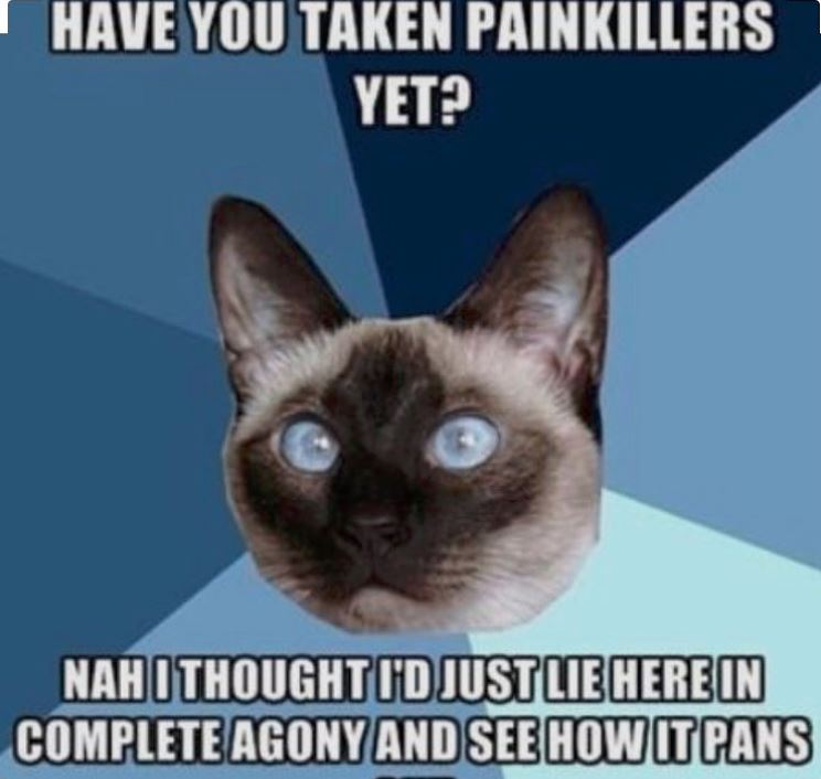 cat pain killers suggestion