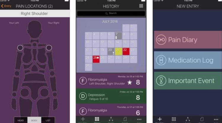 my pain diary screenshots