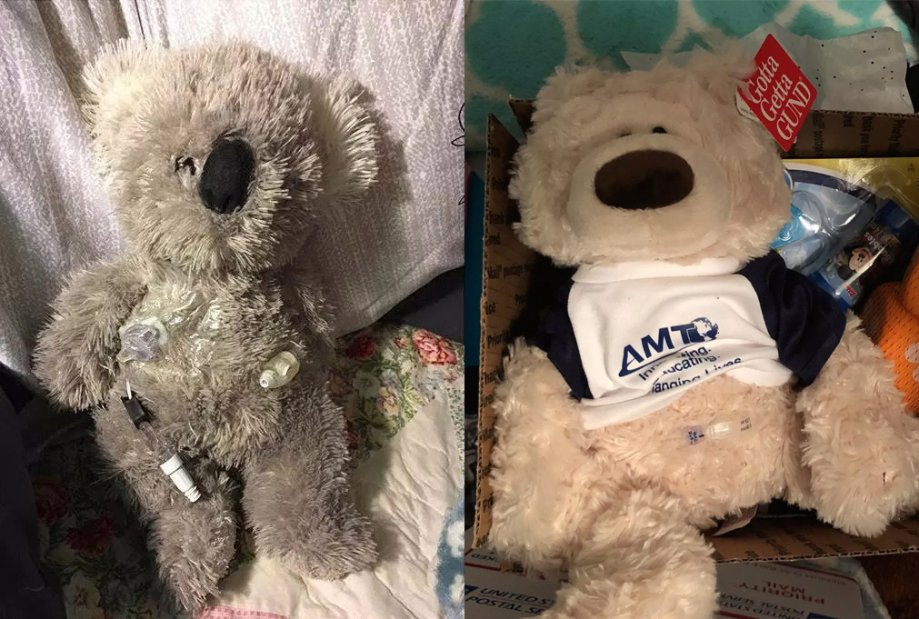 photo of two teddy bears wearing medical tubes. one is wearing a t-shirt with the letters AMT