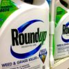 Row of bottles of Roundup weed killer on a store shelf