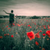 a woman walking about poppies