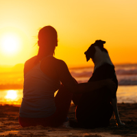 Woman and dog looking at water at sunset.