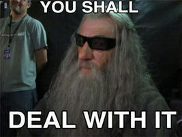 gandalf wearing sunglasses and saying "you shall deal with it"