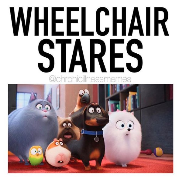 wheelchair stares meme