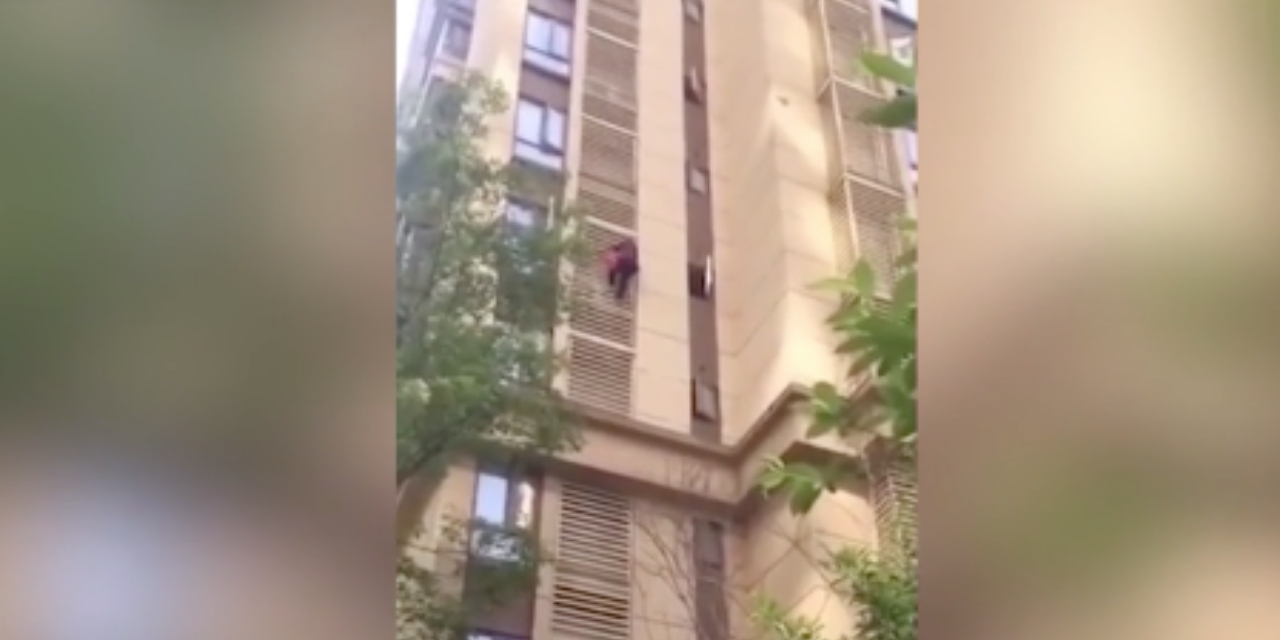 Video Shows Woman With Alzheimer's Climbing Out Window