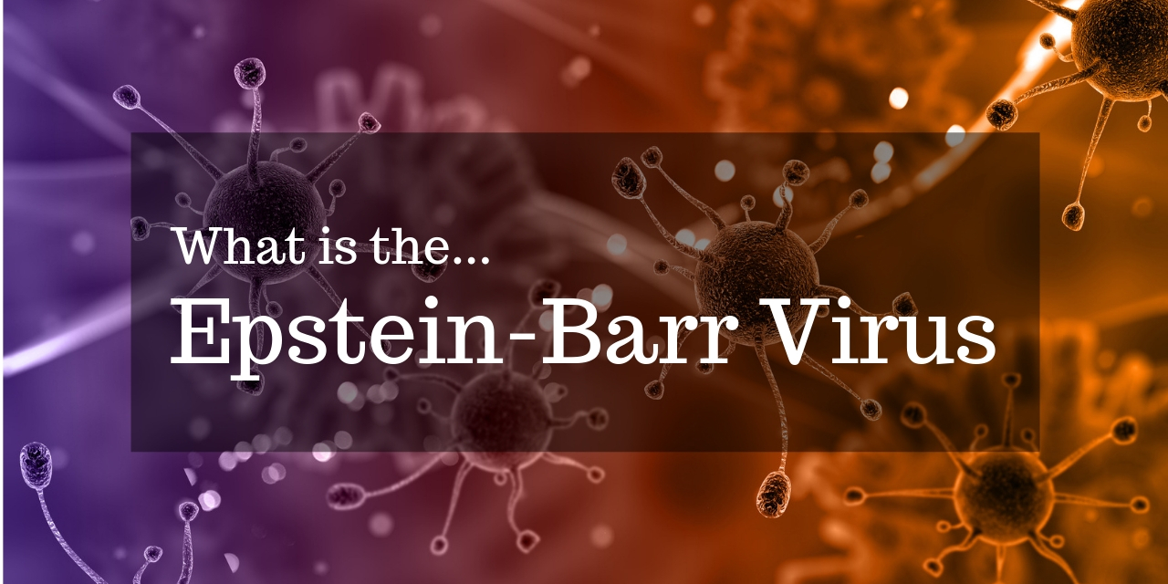 What Is the Epstein-Barr Virus?