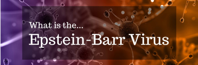 3D medical background with virus cells with white text that reads, "What is the Epstein-Barr Virus?"