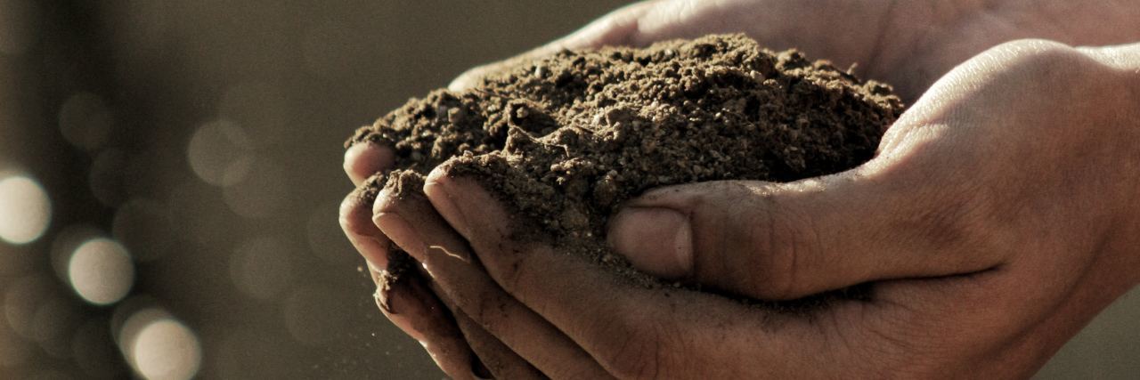 close up photo of person's hands holding soil from gardening