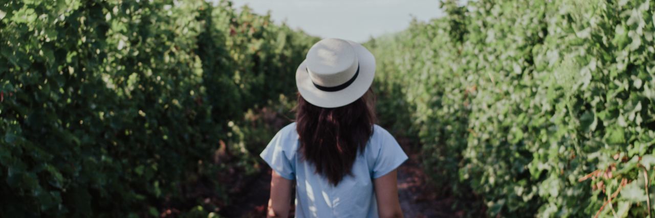 How to Make a Seemingly Impossible Medical Treatment Decision photo of woman with back to camera in the middle of tall crop with unseen path ahead