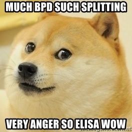 much BPD splitting - doge meme