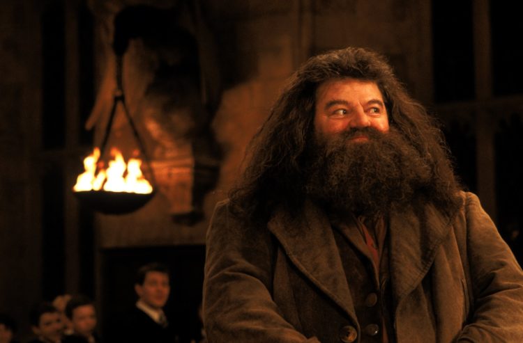 hagrid