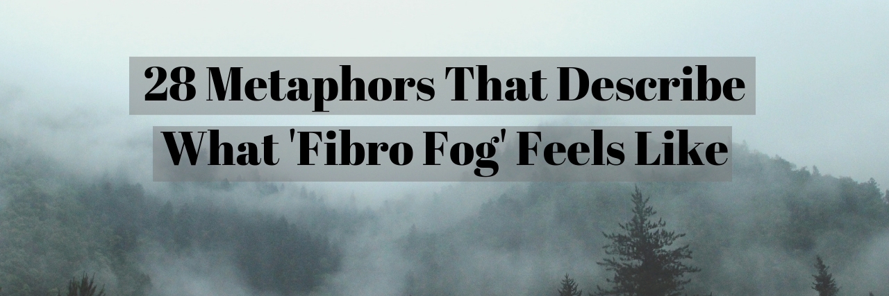 How to Describe What Brain Fog Feels Like With Fibromyalgia cloudy woods with fog